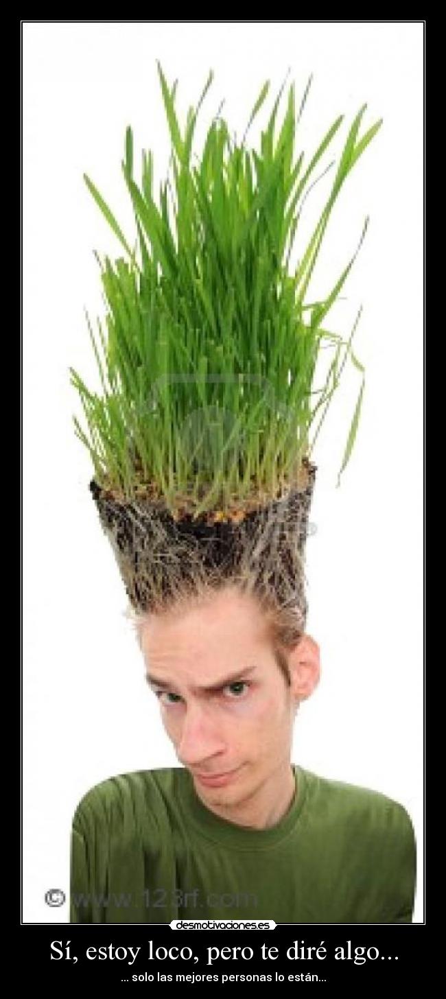 Sí, estoy loco, pero te diré algo... - 