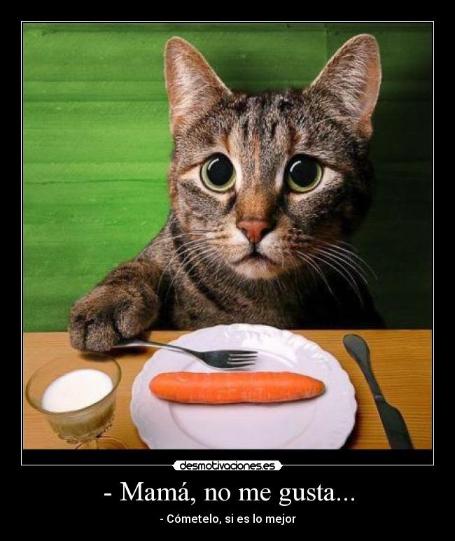 - Mamá, no me gusta... -