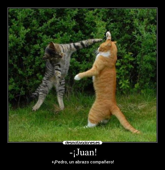 -¡Juan! - 