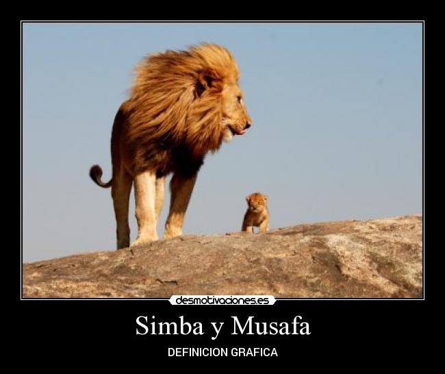 Simba y Musafa - DEFINICION GRAFICA