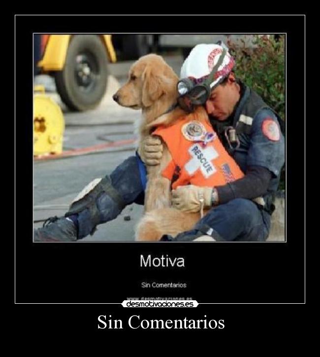 Sin Comentarios - 