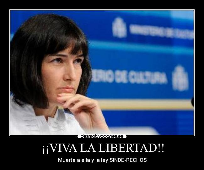 carteles libertad chulololo desmotivaciones