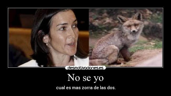 No se yo - cual es mas zorra de las dos.