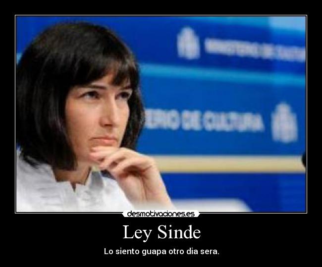 Ley Sinde - 