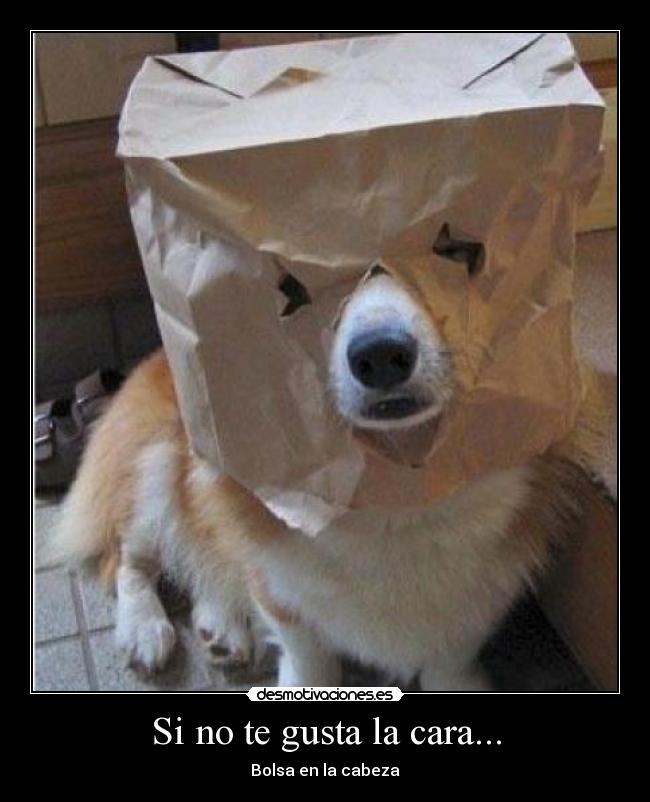 Si no te gusta la cara... - Bolsa en la cabeza