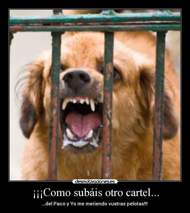 ¡¡¡Como subáis otro cartel... - ...del Paco y Yo me meriendo vustras pelotas!!!