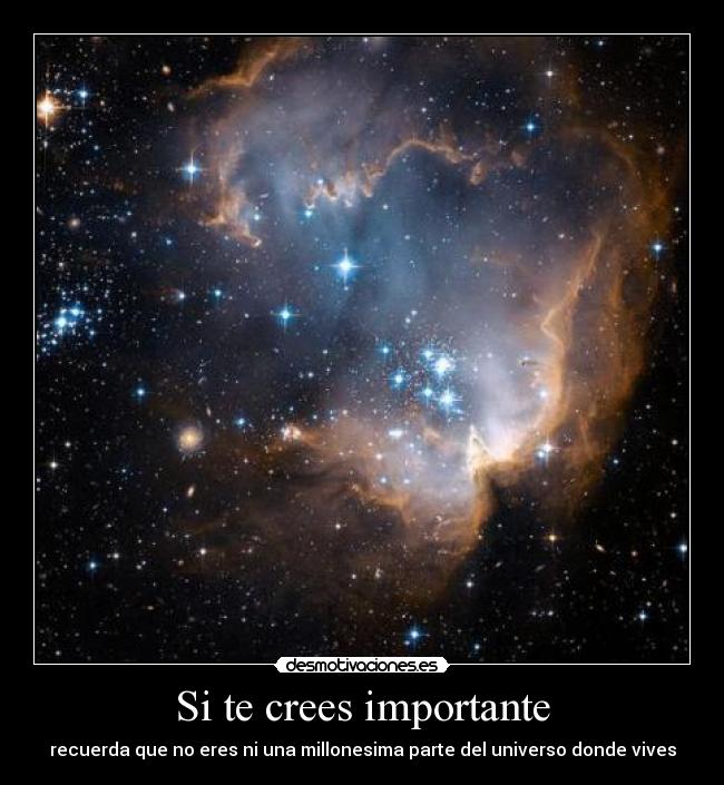 Si te crees importante -