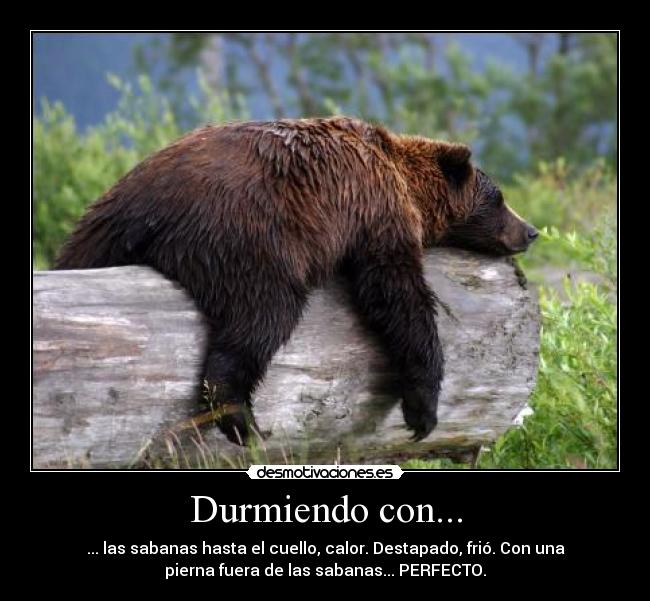 carteles frio calor templado perfecto dormir sabanas oso desmotivaciones