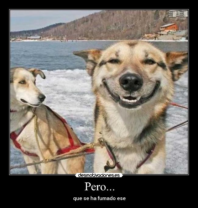 Pero... - que se ha fumado ese
