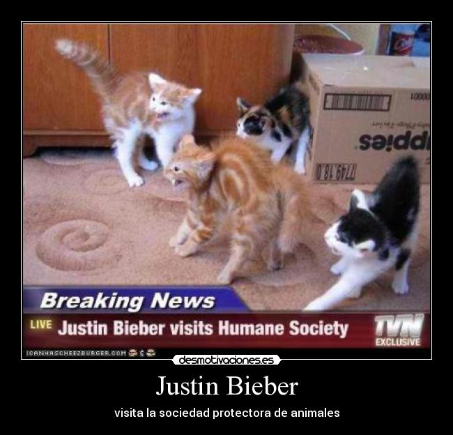 Justin Bieber - visita la sociedad protectora de animales