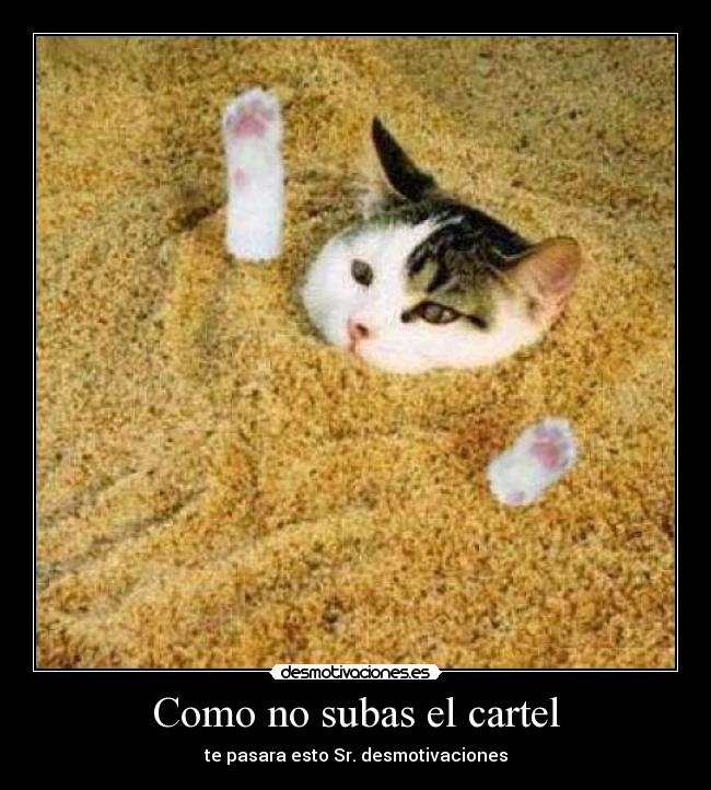 Como no subas el cartel -