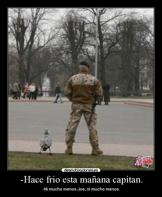 -Hace frio esta mañana capitan. -