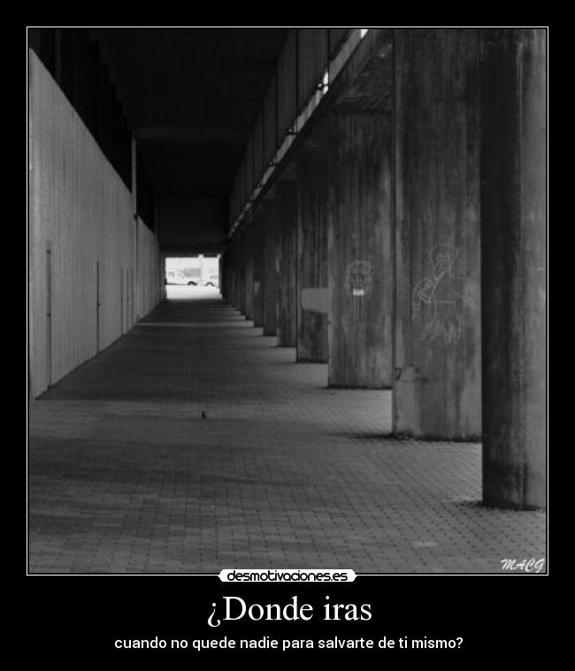 ¿Donde iras -