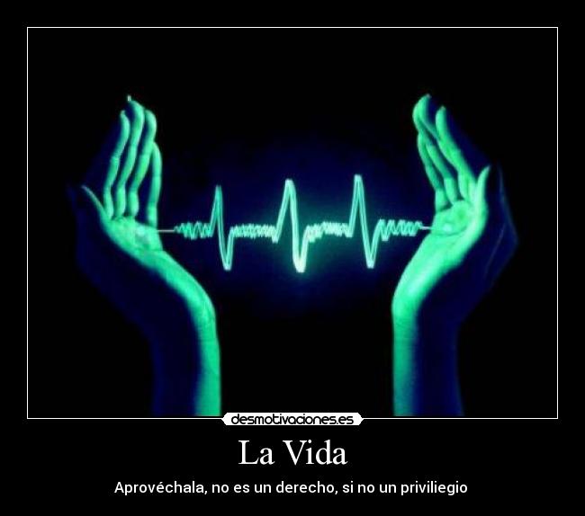 La Vida -