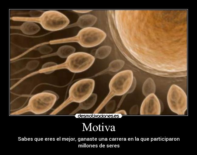 Motiva - 