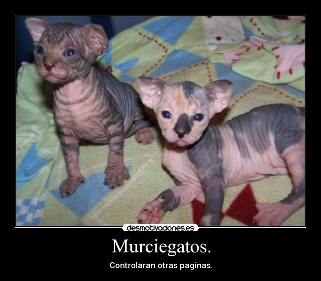 carteles ewa desmotivaciones