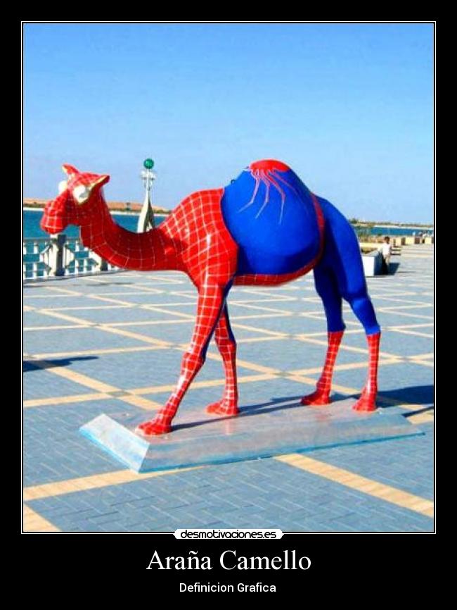 Araña Camello -