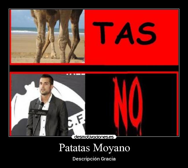 Patatas Moyano - Descripción Gracia