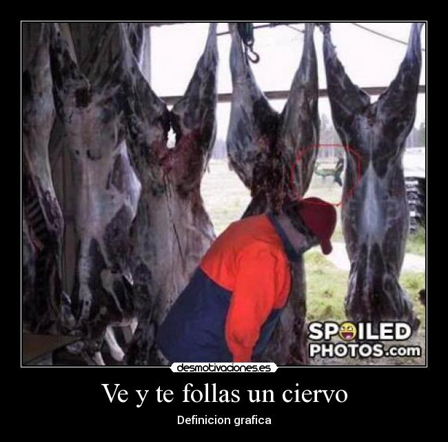 carteles definicion grafica desmotivaciones