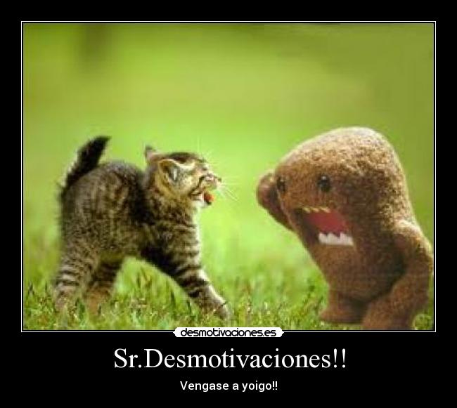 Sr.Desmotivaciones!! -