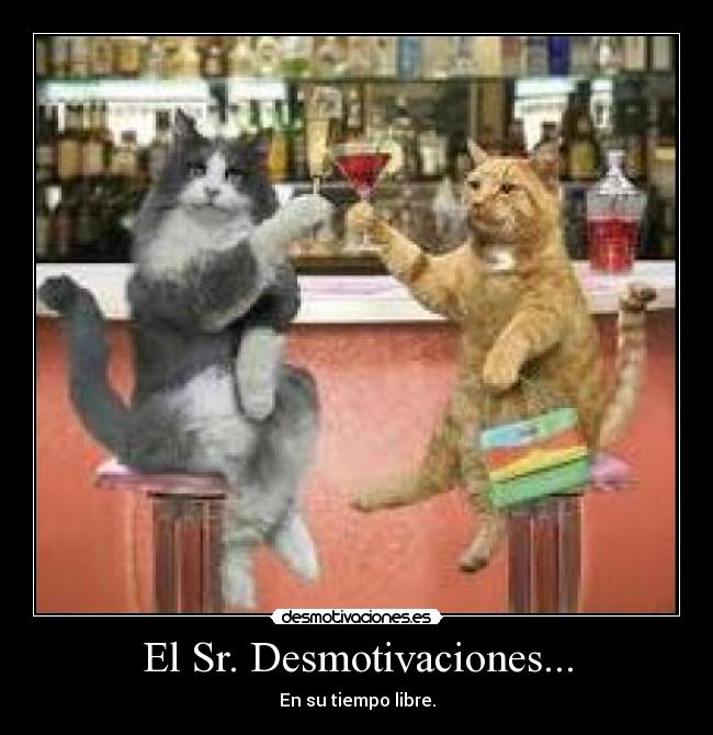 El Sr. Desmotivaciones... -
