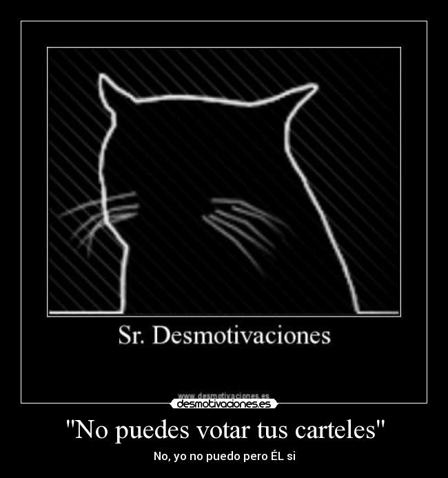 No puedes votar tus carteles -