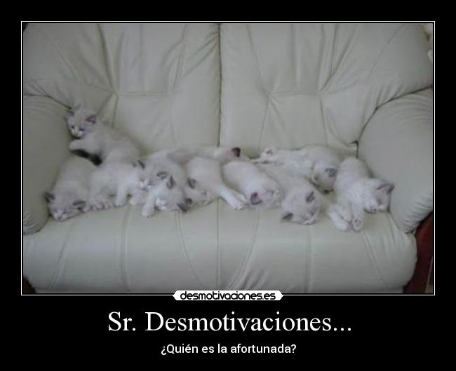 Sr. Desmotivaciones... -