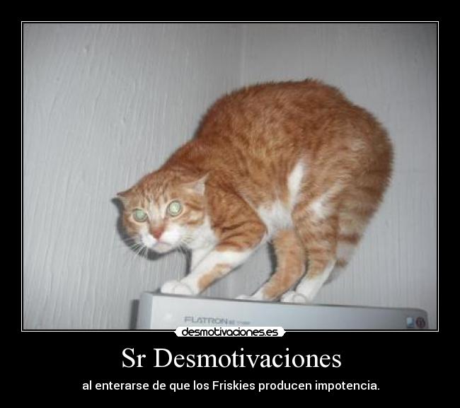 Sr Desmotivaciones - 