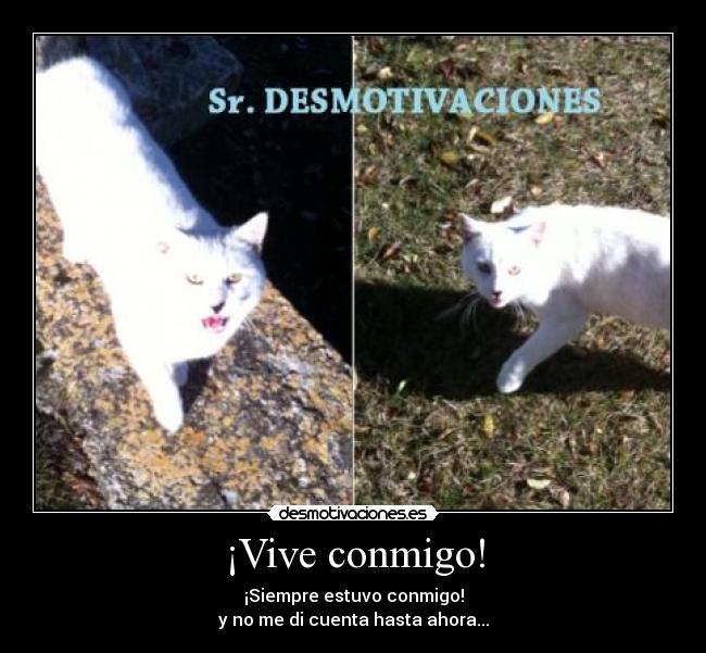 ¡Vive conmigo! - ¡Siempre estuvo conmigo!
y no me di cuenta hasta ahora...