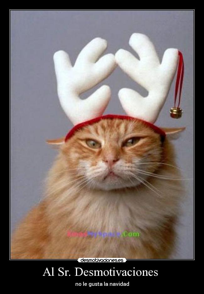 Al Sr. Desmotivaciones - no le gusta la navidad