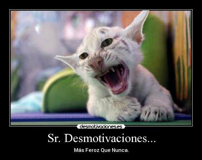 Sr. Desmotivaciones... - 