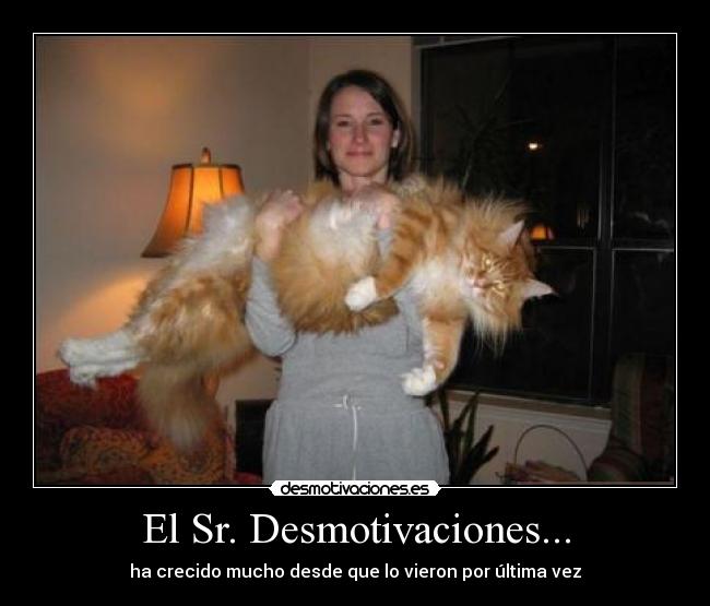 El Sr. Desmotivaciones... - 