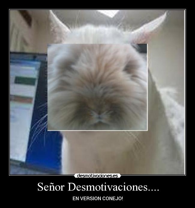 Señor Desmotivaciones.... - 