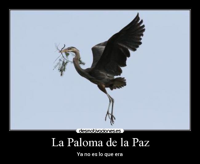 La Paloma de la Paz -