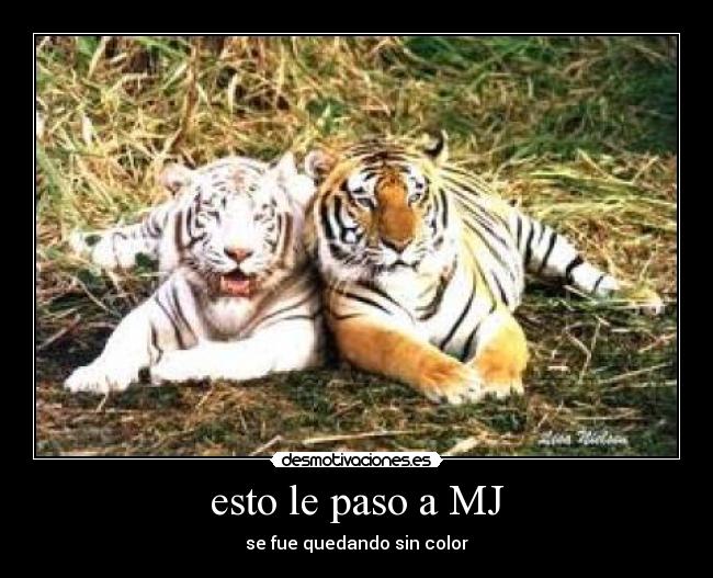 esto le paso a MJ - 