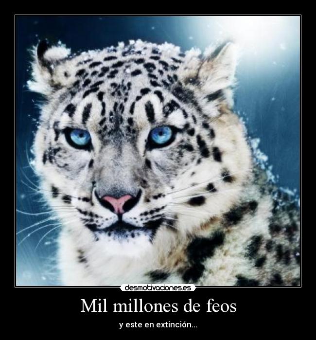 Mil millones de feos -