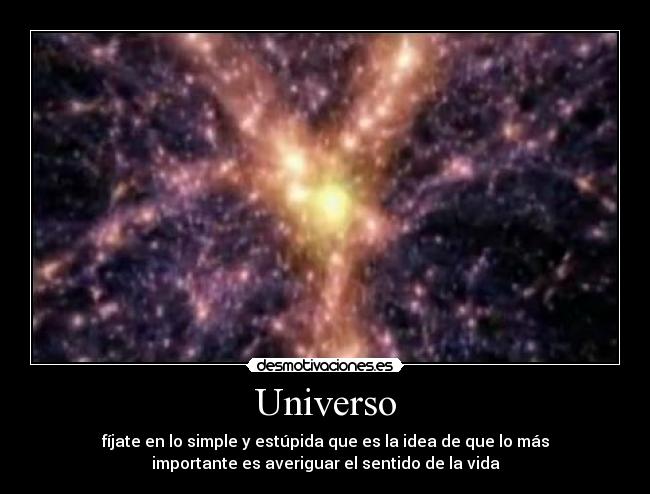 Universo - fíjate en lo simple y estúpida que es la idea de que lo más
importante es averiguar el sentido de la vida