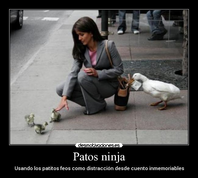 Patos ninja - Usando los patitos feos como distracción desde cuento inmemoriables