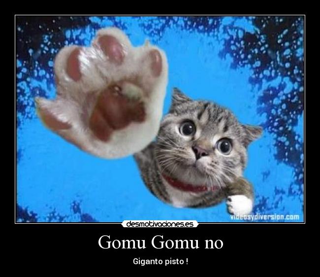 Gomu Gomu no - Giganto pisto !