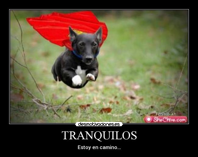 TRANQUILOS - Estoy en camino...