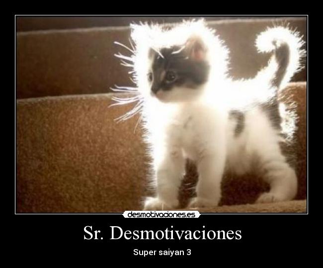 Sr. Desmotivaciones -