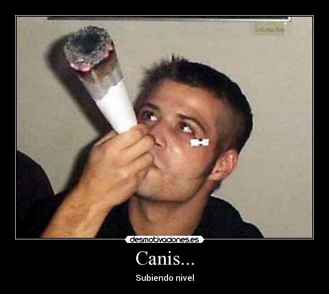 Canis... - Subiendo nivel