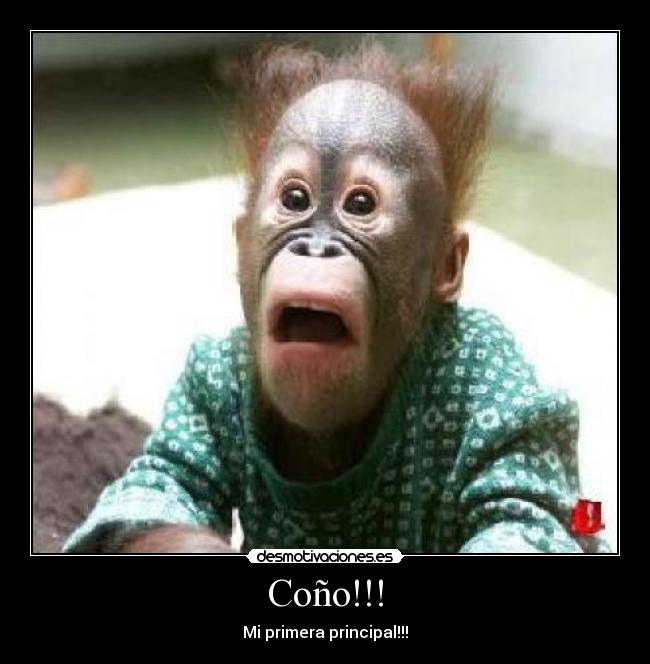 Coño!!! - 
