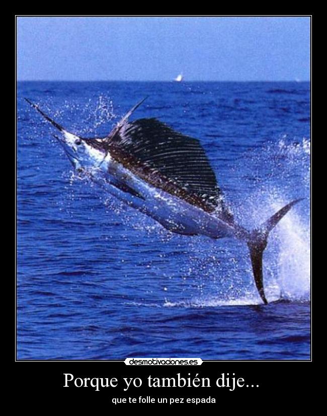 Porque yo también dije... - que te folle un pez espada