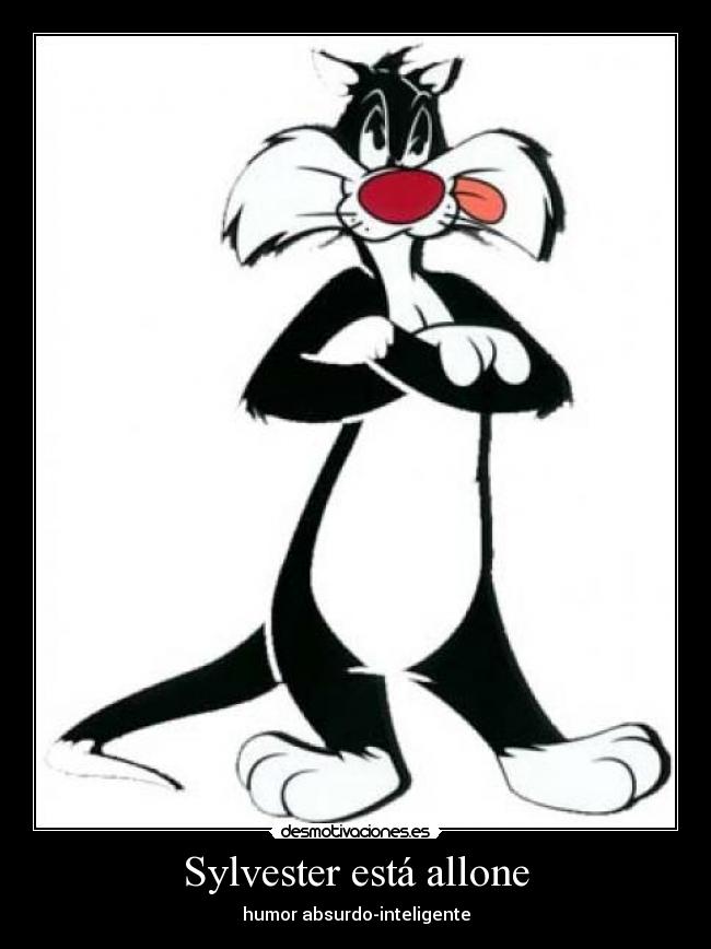 Sylvester está allone -