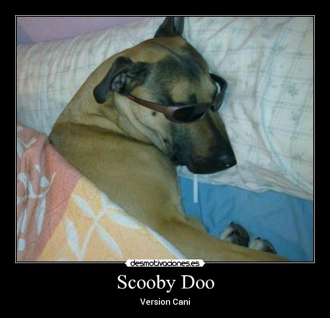 Scooby Doo -