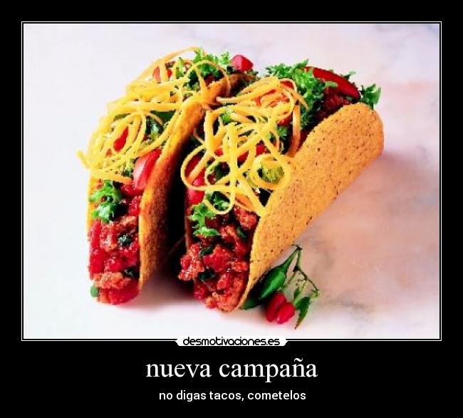 nueva campaña -