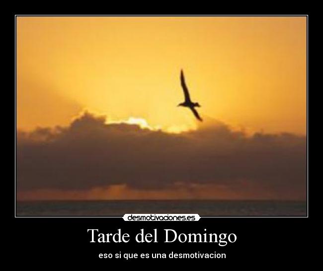 Tarde del Domingo - eso si que es una desmotivacion