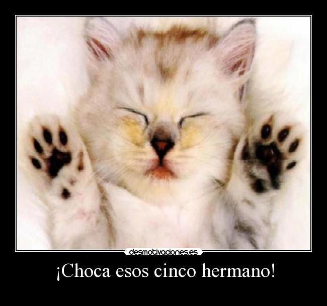 ¡Choca esos cinco hermano! -