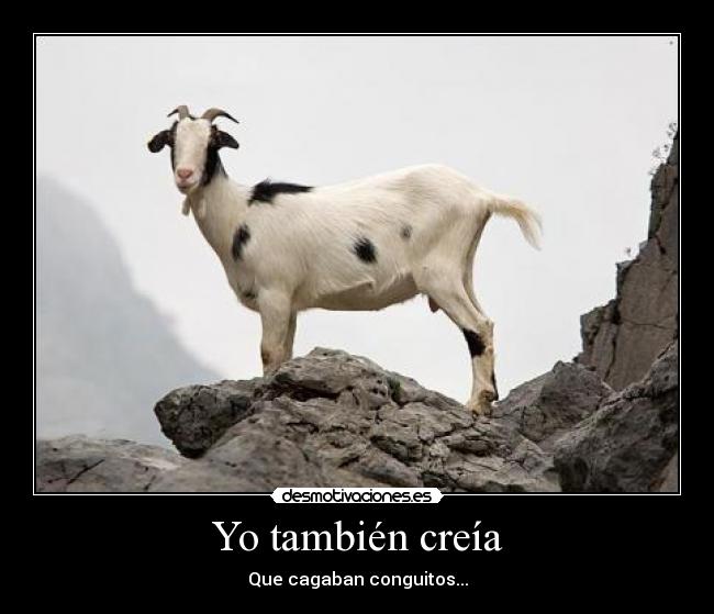 Yo también creía -